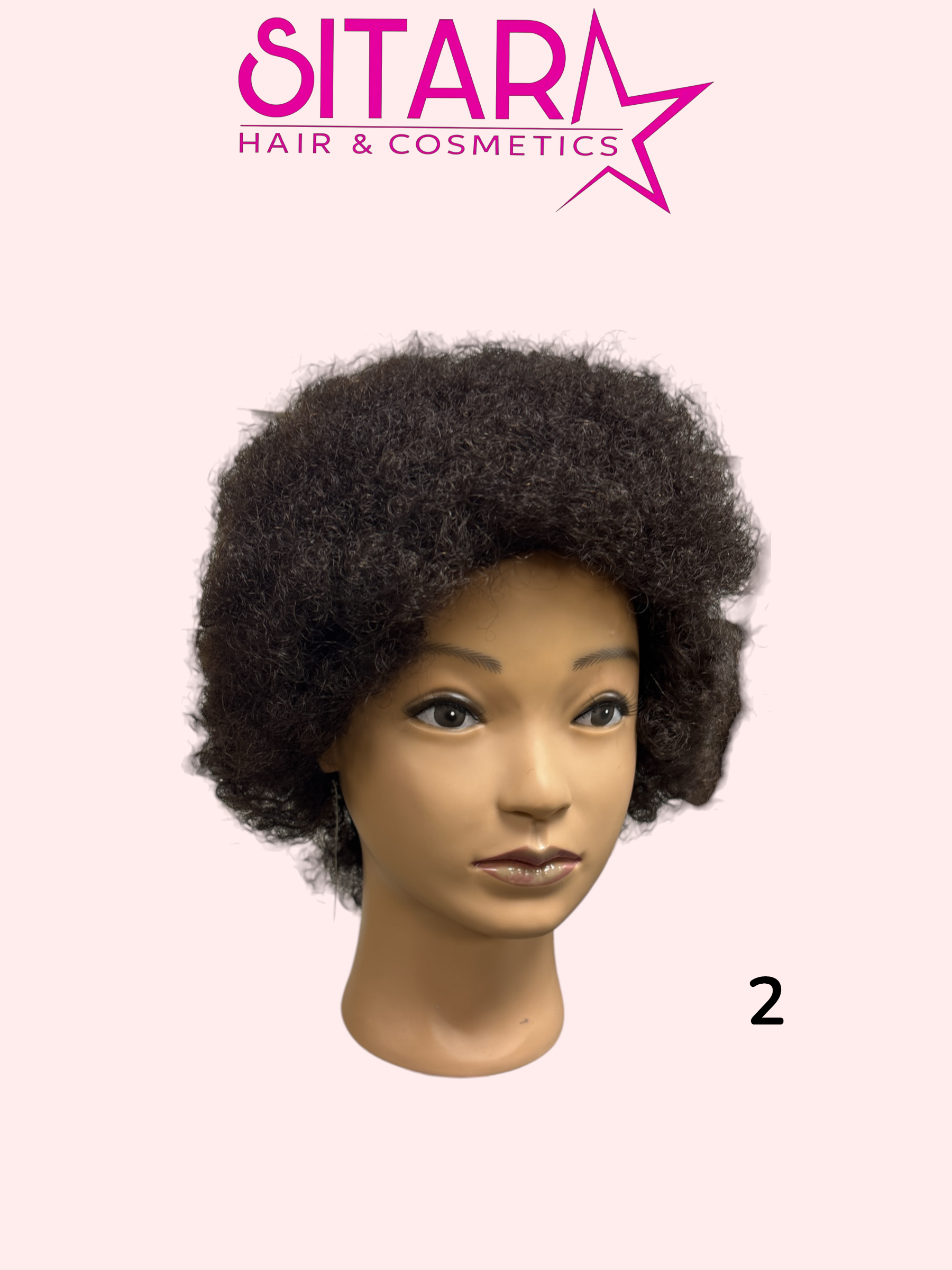 Afro Human Hair Wig 6.5"