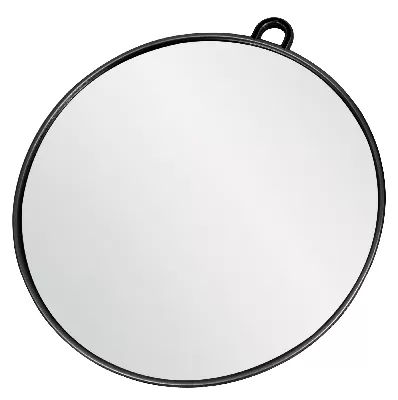 Ice Mirror 27cm Wall & Hand Mirror with Holder