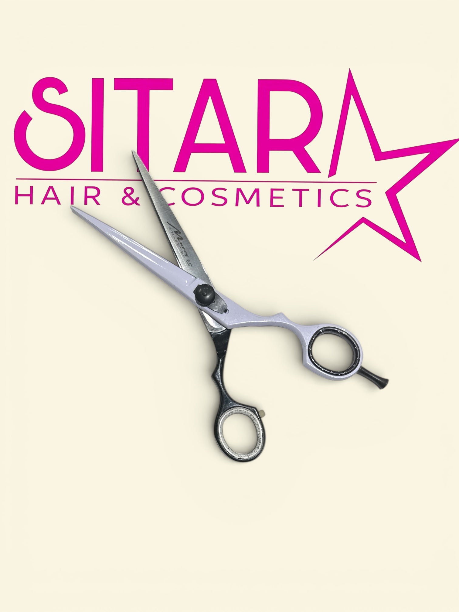 Stainless Steel Scissor 6.5" #B1005BW