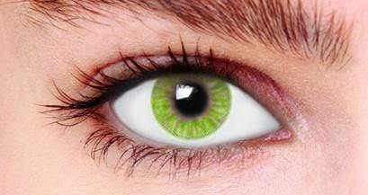 Contact Lenses