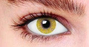 Contact Lenses