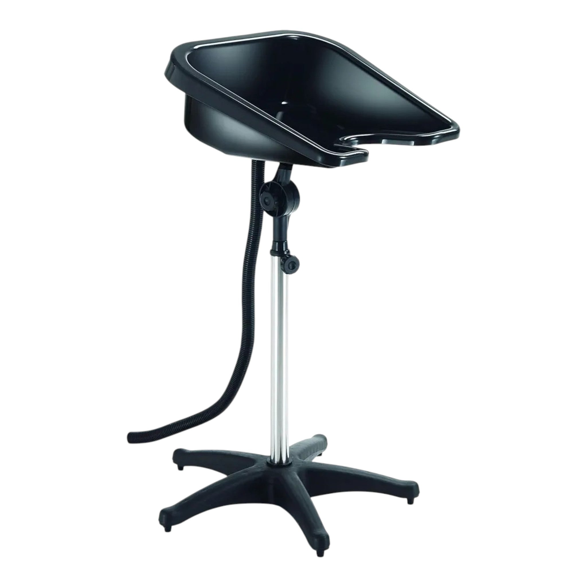 Professional Salon Wash Basin with Stand
