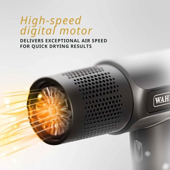 Vanquish Digital Motor Hair Dryer