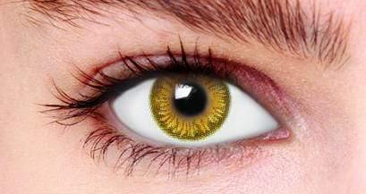 Contact Lenses